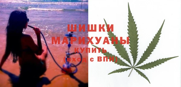 индика Володарск