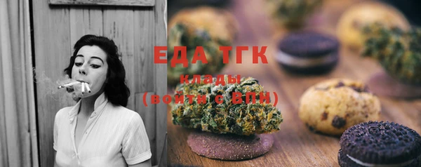 индика Володарск