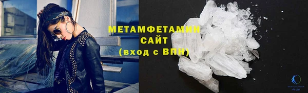 индика Володарск