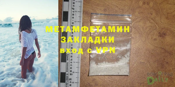 индика Володарск