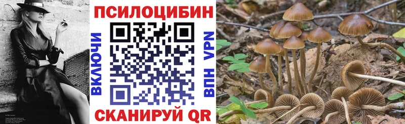 Галлюциногенные грибы MAGIC MUSHROOMS  Купить  Октябрьск 
